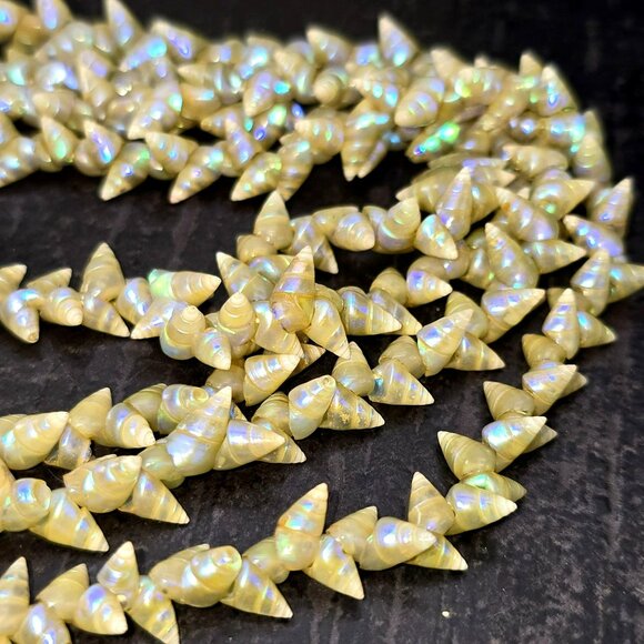 Vintage Iridescent Marineer Sea Shell Bead Necklace Gorgeous!  45" Rare HS230 - Picture 6 of 7